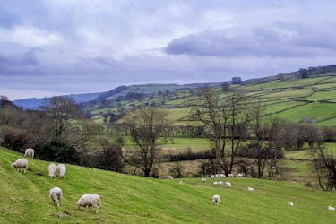 The Yorkshire Dales full day tour from York